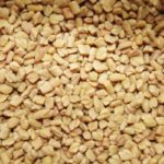 Fenugreek Seed Extract Market
