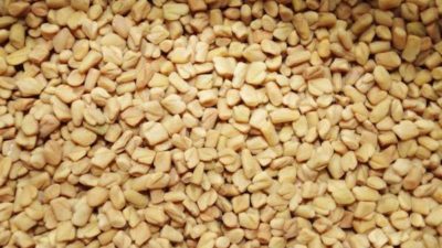 Fenugreek Seed Extract Market