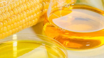 High Fructose Corn Syrup Market