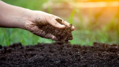 Manufactured Soil Market