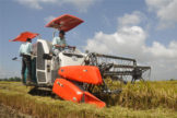 Rice Transplanter Machine Market