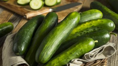 Cucumber Seed Market