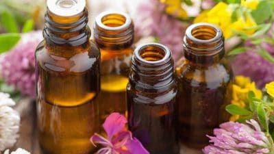 Essential Oils & Plant Extracts for Livestock Market