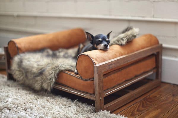 pet furniture