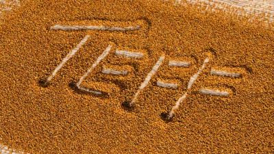 Teff (Eragrotis tef) Products Market