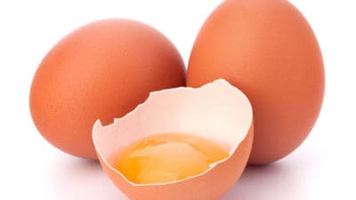 Egg Replacement Ingredient Market