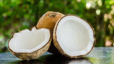 Coconut Derivatives Market