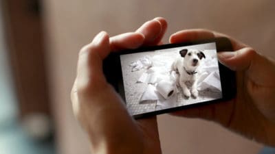 Pet Monitoring Cameras Market