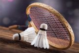 Badminton Racquet Market