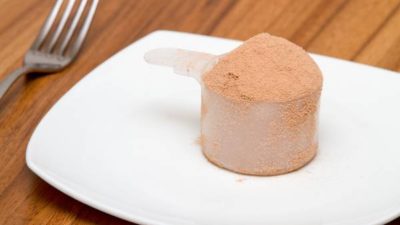 Casein Protein Market