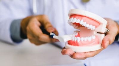 Dental Bone Grafts and Substitutes Market
