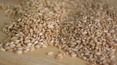 Grain Mill Products Market