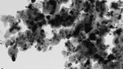 Magnetite Nanoparticles Market