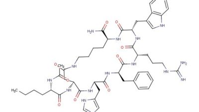 Peptide Synthesis Market