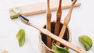 Bamboo Toothbrush Market