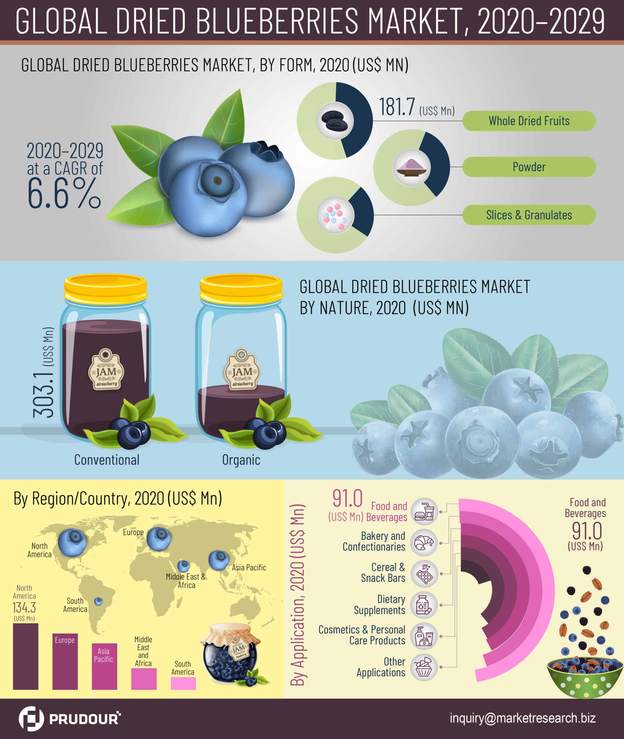 global dried blueberries market infographics