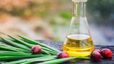Oleochemicals Market