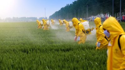 US & Europe Pesticide Inert Carriers Market