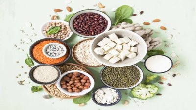 North America Plant Proteins Market