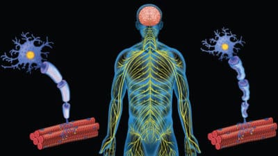 Multiple Sclerosis Drugs Market