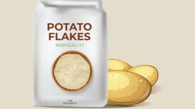 Potato Flakes Market