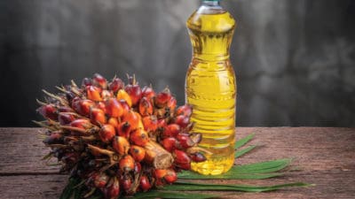 Palm Acid Oil Market