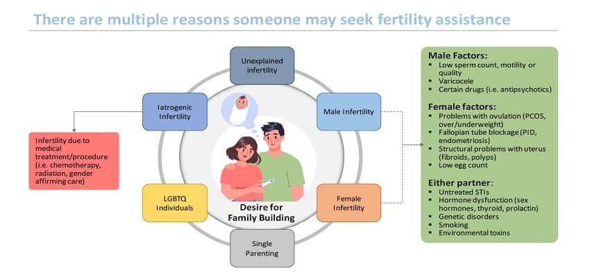 There are multiple reasons someone may seek fertility assistance