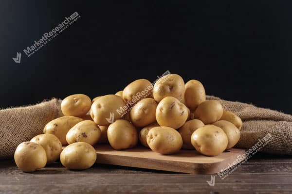 Fresh Potatoes Market