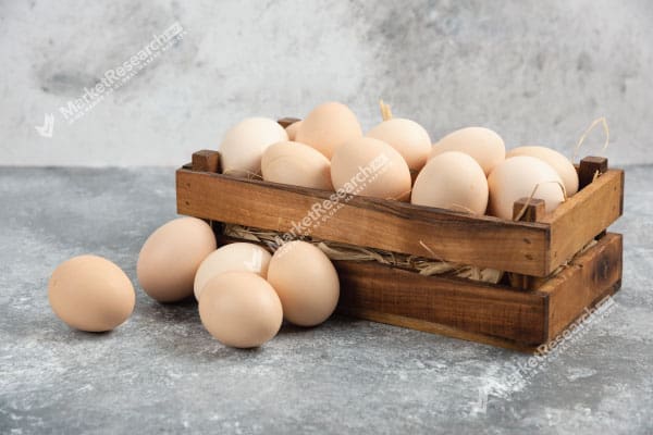 Cage Free Eggs Market