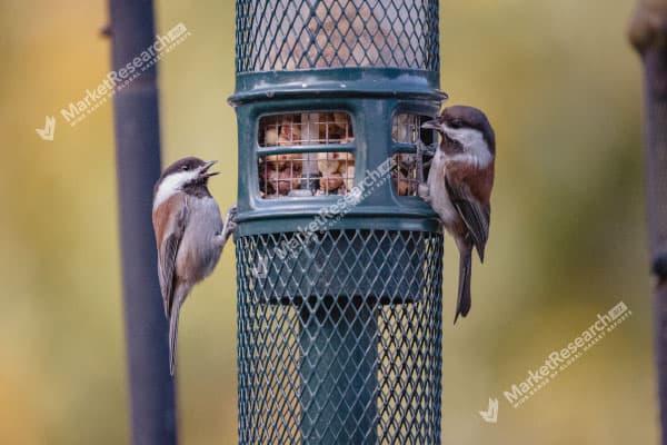 Bird Feeder Market