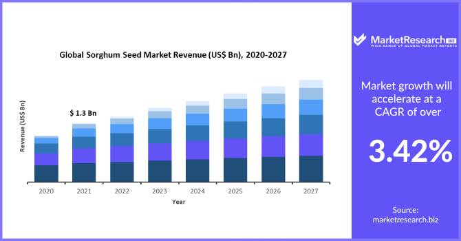 Sorghum Seed Market