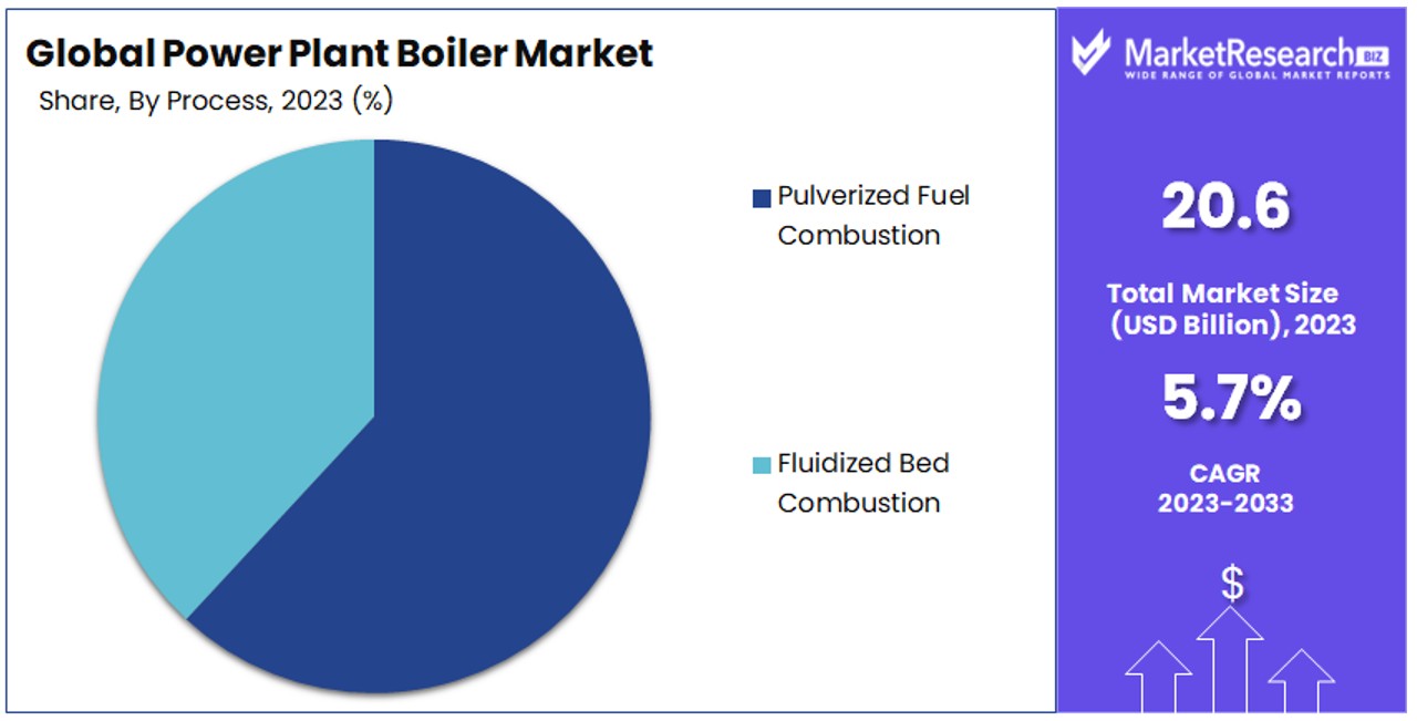 Power Plant Boiler Market By Share