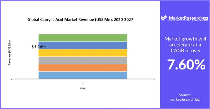 Caprylic Acid Market