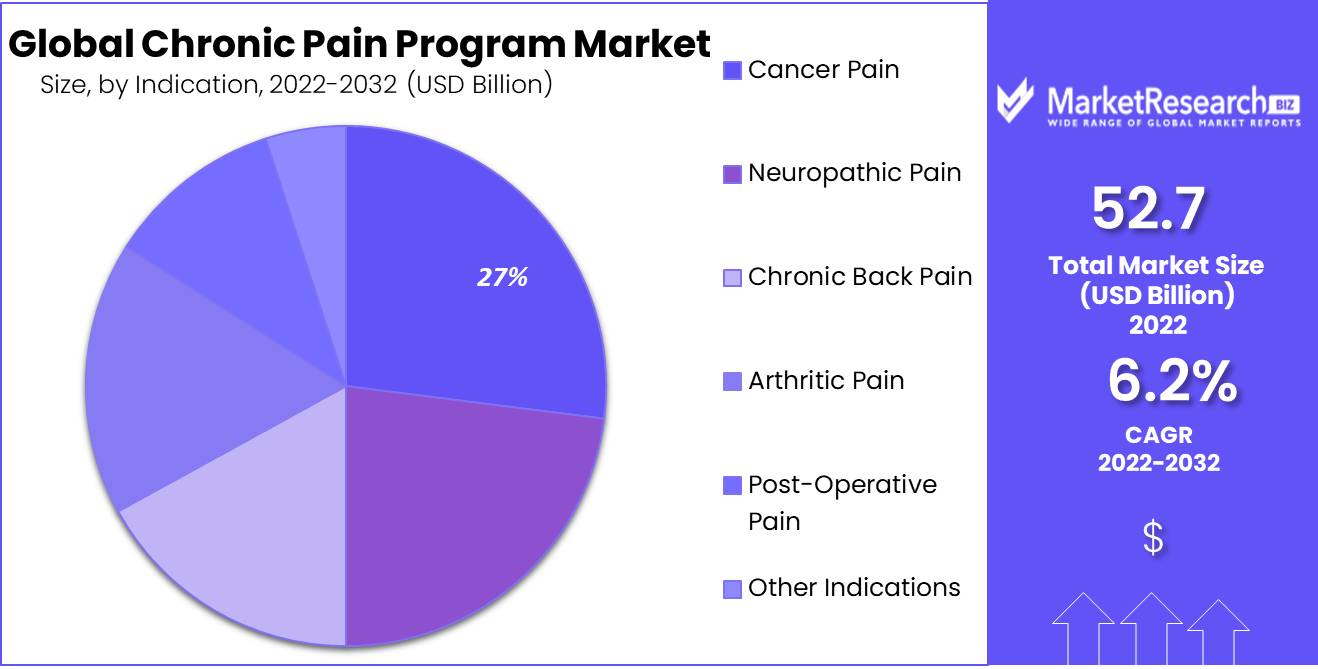 Chronic Pain Programs Market