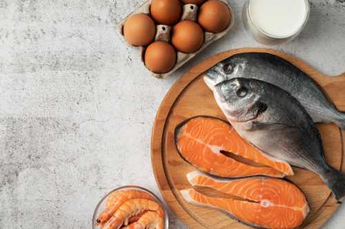 Fish Protein Market