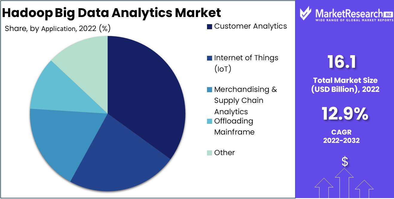 Hadoop Big Data Analytics Market Application Analysis