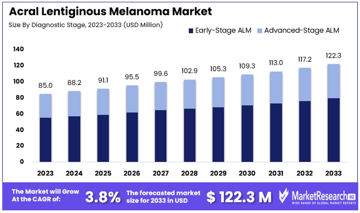 Acral Lentiginous Melanoma Market By Size