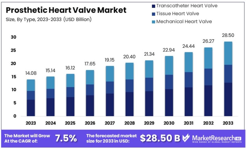 Prosthetic_Heart_Valve_Market_By_Size