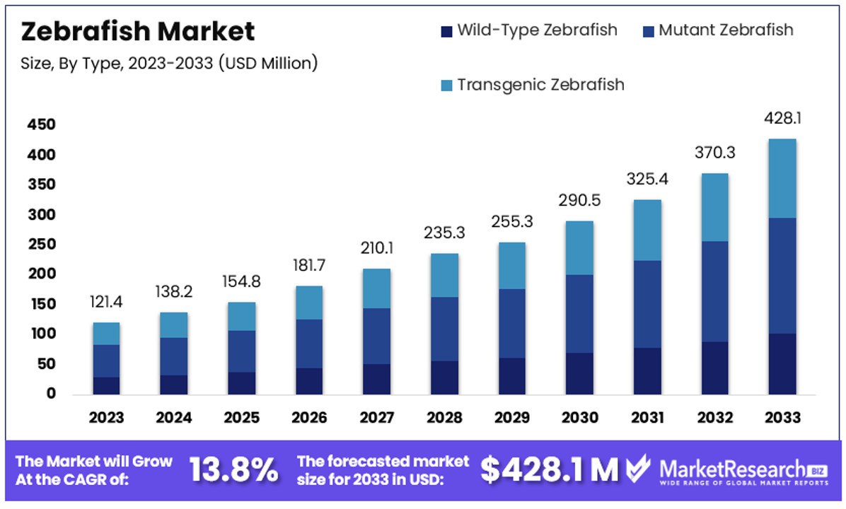Zebrafish Market By Size